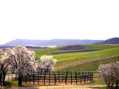 Pista redonda