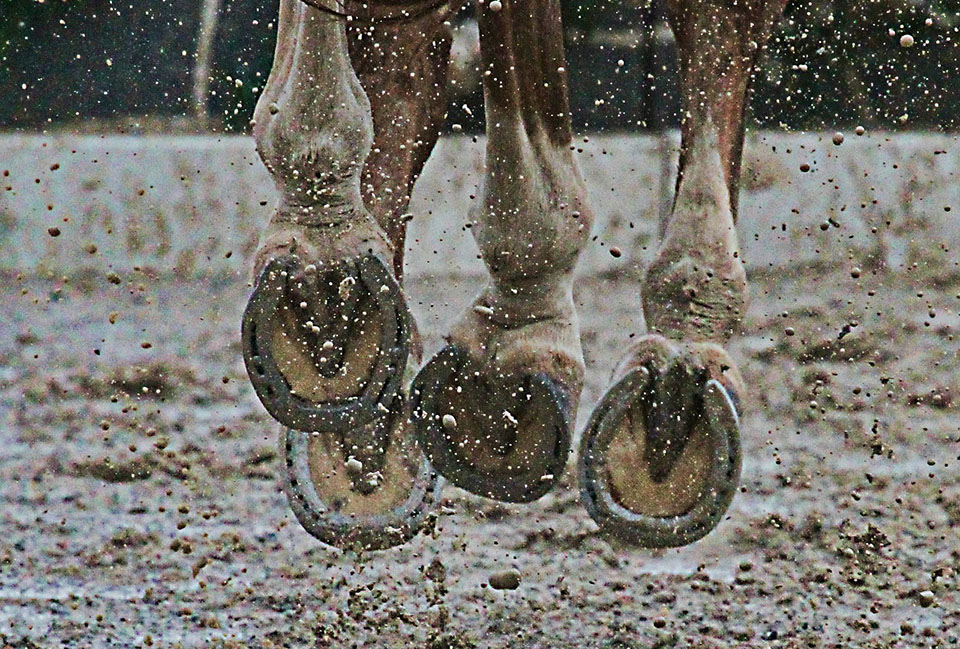 Correccion de Aplomos