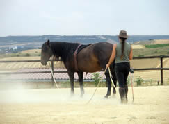 Entrenamiento